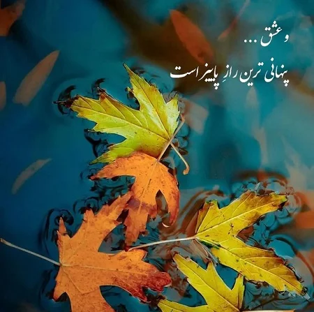 متن احساسی برای توصیف زیبایی شاعرانه فصل خزان و پیوند قلب‌ها