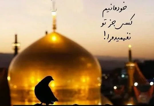 کپشن اینستاگرام برای تصویر صحن حرم امام رضا