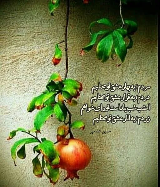  کپشن اینستاگرام برای عکس انار و شب یلدا