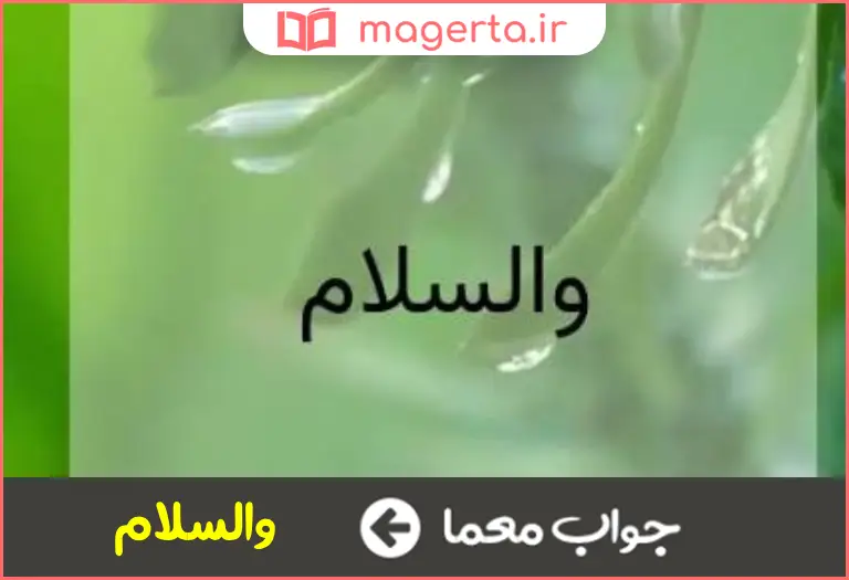 جواب معما همین وبس در جدول