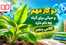 دو گاز مهم و حیاتی برای گیاه چه نام دارد کلاس پنجم